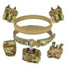 AS-DF - CEINTURE TACTIQUE COMPLETE - Airsoft Direct Factory